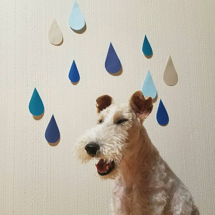 3c9bc77b 1bd5 401a b8a6 0b04cb296efe 1528637603093