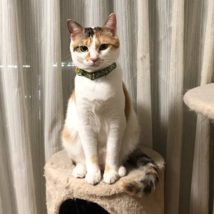 3c9bcb43 d05f 447a 938b cf763ed9ea78 1594302626473