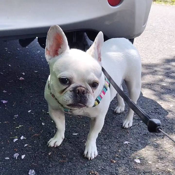 3c9c3a8f 7c14 4e73 9196 a9eaa93910a1 1681680614086