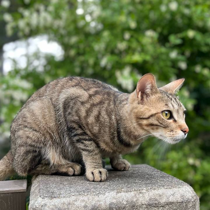 3c9c3d22 bde4 424b 90fe 0252e91e102c 1685436744906