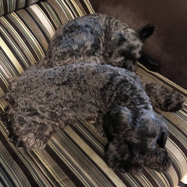 3c9c47ec 6906 4a3c 8bc4 c6fba09a0154 1574828294726