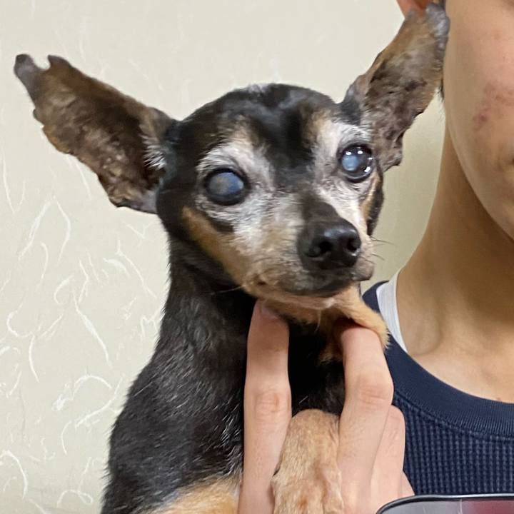 3c9c8b3f ae4b 440a 810a 884985e3f434 1609505945906