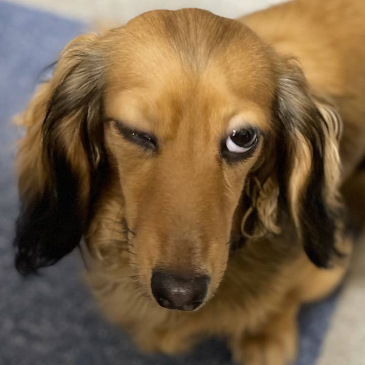 3c9cda93 757b 4506 9acc 385c29736d00 1632138490375