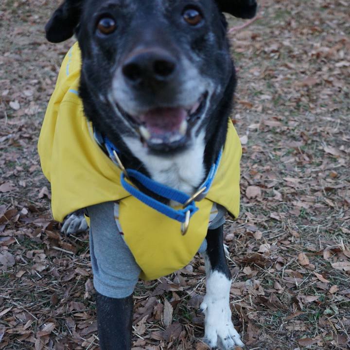 3c9ceaab 65c3 4aef 9186 533d251c2fac 1767917971710