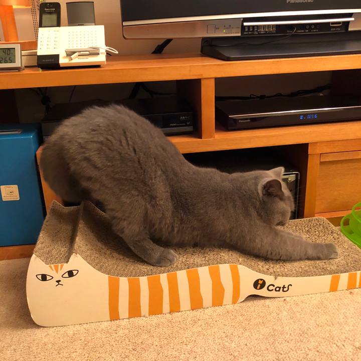 3c9d1a51 8853 4df8 8e2c bdb369093c72 1538992299348