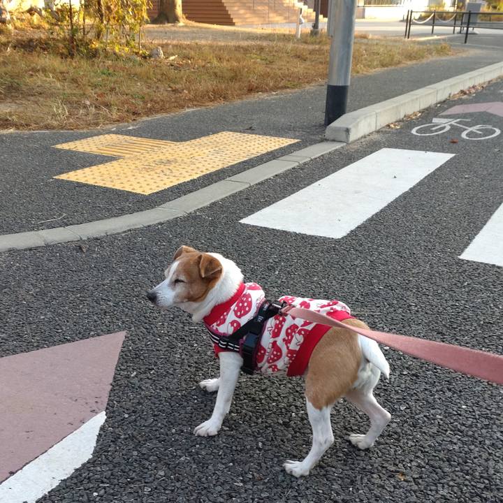 3c9d1ac3 b06a 420a a120 d363d33d158f 1763682745309