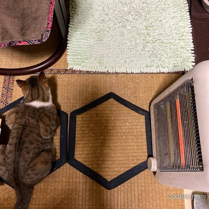 3c9db6fe a65c 4790 9120 0ff0557f0191 1768773691629