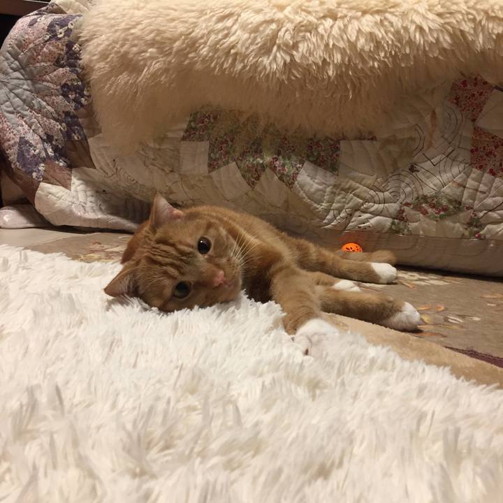 3c9de49e d4fb 446a bba3 cb20b88acdaa 1524058549676