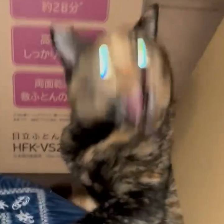 3c9e0e0f 46ed 4b81 9f5f 57308fb27973 1759697915347