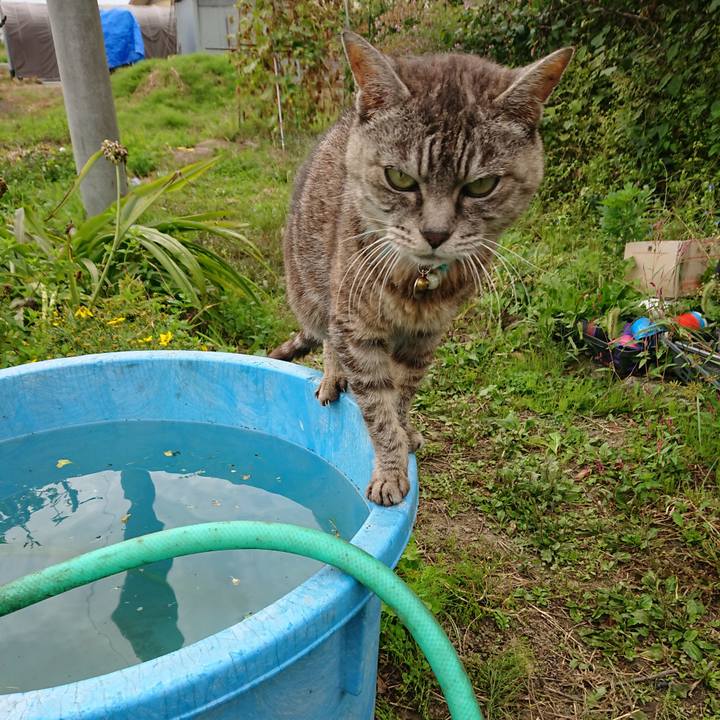 3c9e619c 877f 4c1e b46a 35b32c940d96 1569121472532