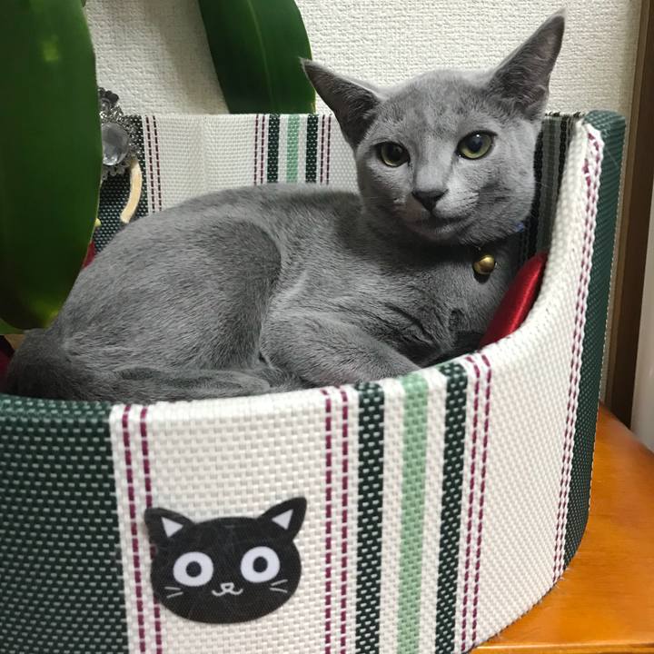 3c9e6224 d797 4409 a5ee e9a2539b7cc9 1508076935613