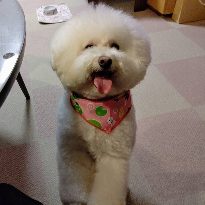 3c9eca8f 94c6 474c 9061 3b96ea874b0d 1590490645073