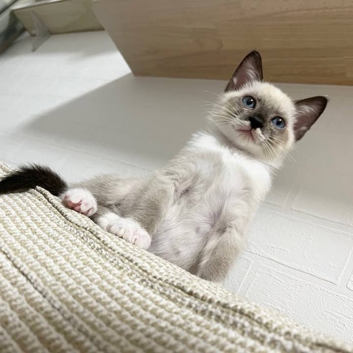 3c9ef333 6db7 466b a1e0 c3736ce6f1f2 1665095708956