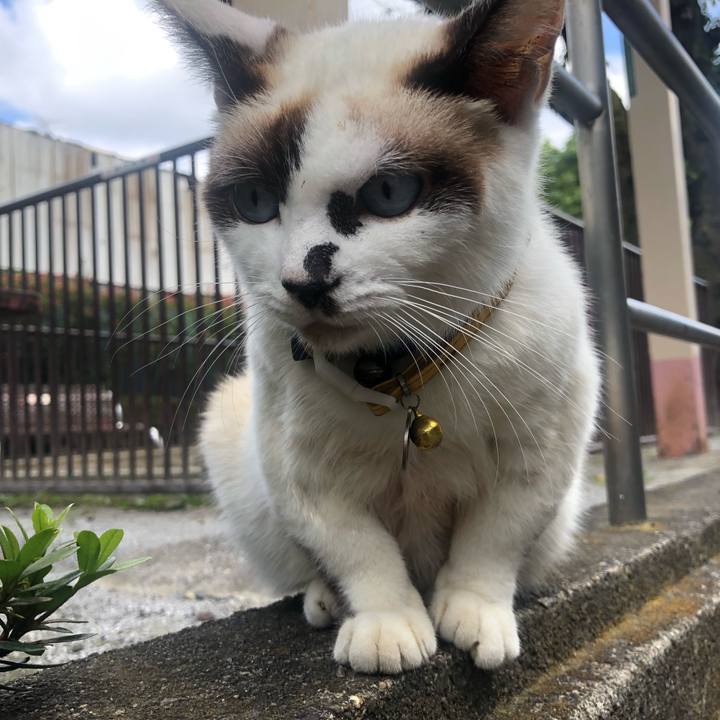 3c9f1176 389c 458c 9c7f 13cdcb111128 1633430769374