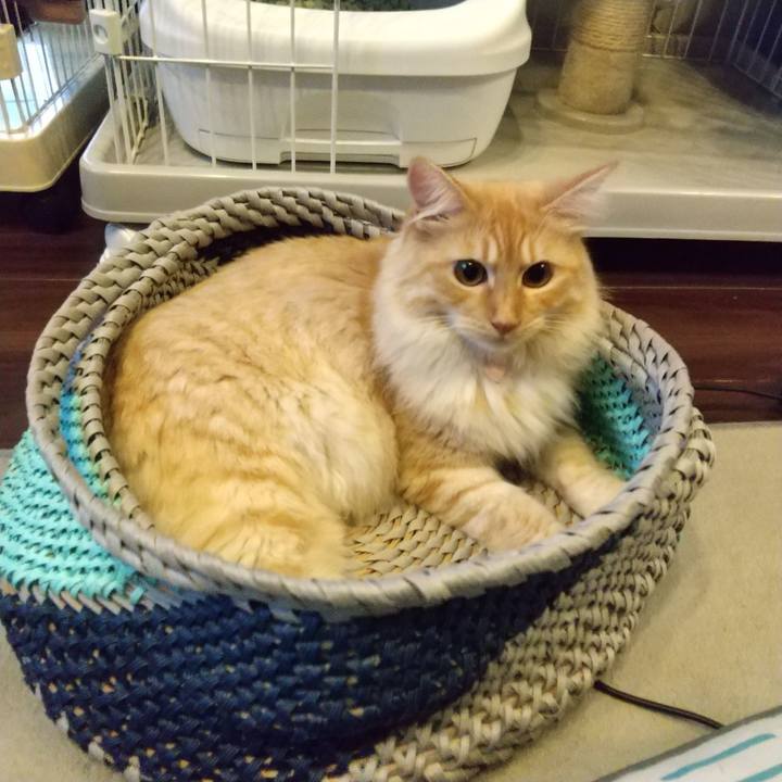 3c9f22b9 72c3 4c04 ba05 4563b6e100ef 1627599036664