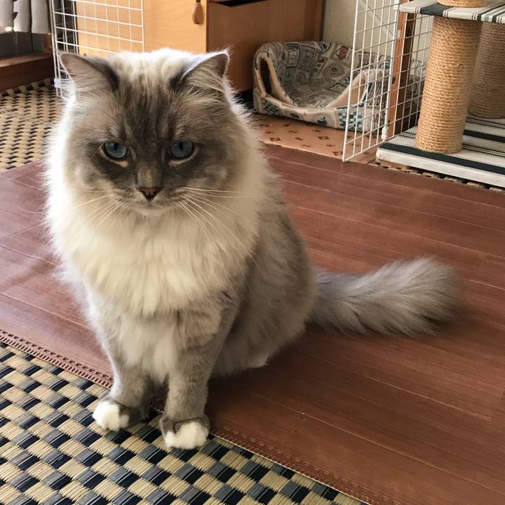 3c9f3171 401d 41a2 82f3 d95e5990c1a7 1513264454960