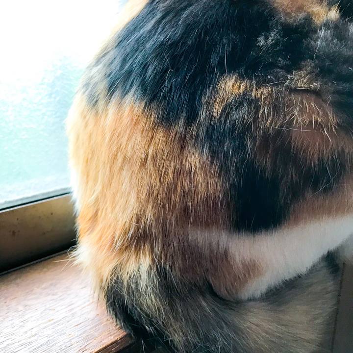 3c9f4653 65b7 453a 86c4 2fe73dac28f8 1529592051388