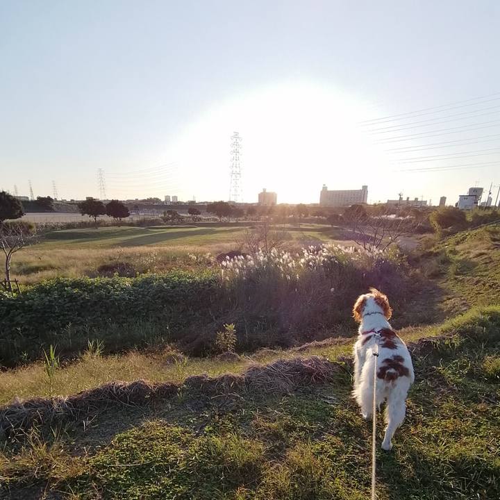 3c9f4fea 2334 4b0a ae96 a4388f62dbaf 1572955828844