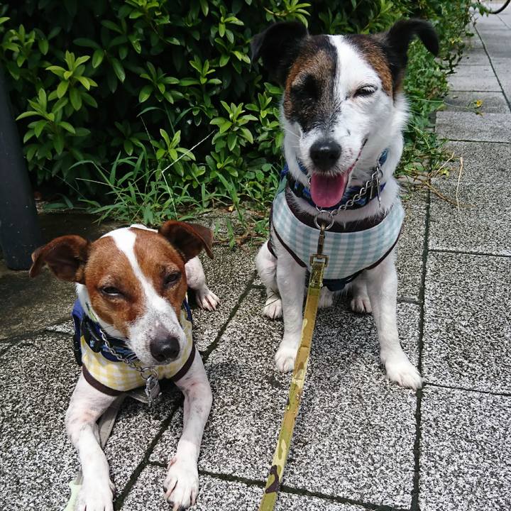 3c9f7970 81a4 44d7 a6c4 5a3458be8f99 1595728731328