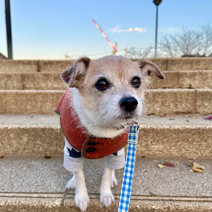 3c9f90b5 ebf9 4252 aa4e 8b5000b5c1b0 1701904867257