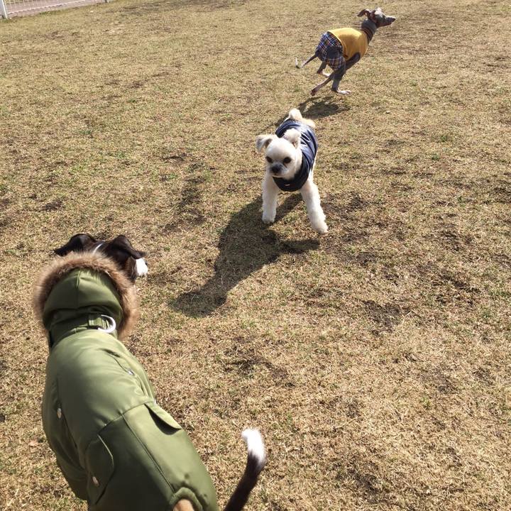 3ca00ded f3d8 48e9 a374 d892aeb72a62 1549792606741