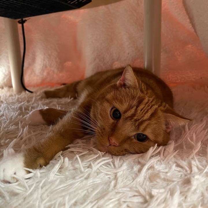 3ca052c7 1aa7 49e2 9963 e1fcb5261523 1608360272595