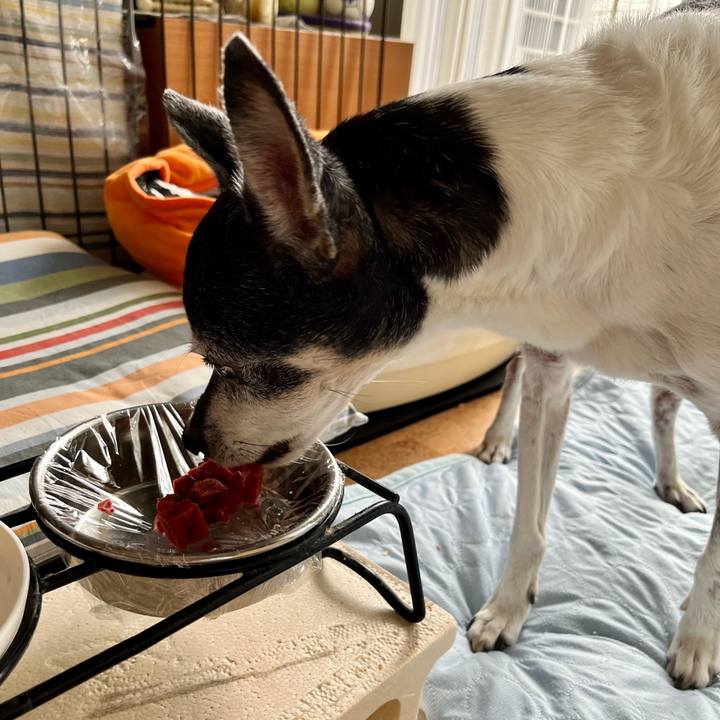 3ca057cf 4c14 4772 9da6 69b6f111f28c 1657231475868