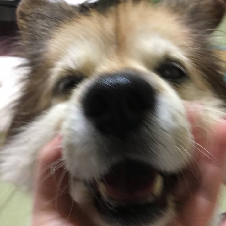 3ca07389 7276 413a b5a5 f3822db21770 1598505064515