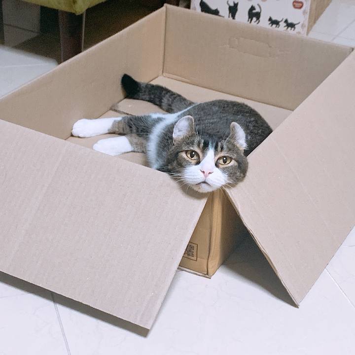 3ca0772d ffa6 4416 9a59 f2e3186ca646 1601037989694