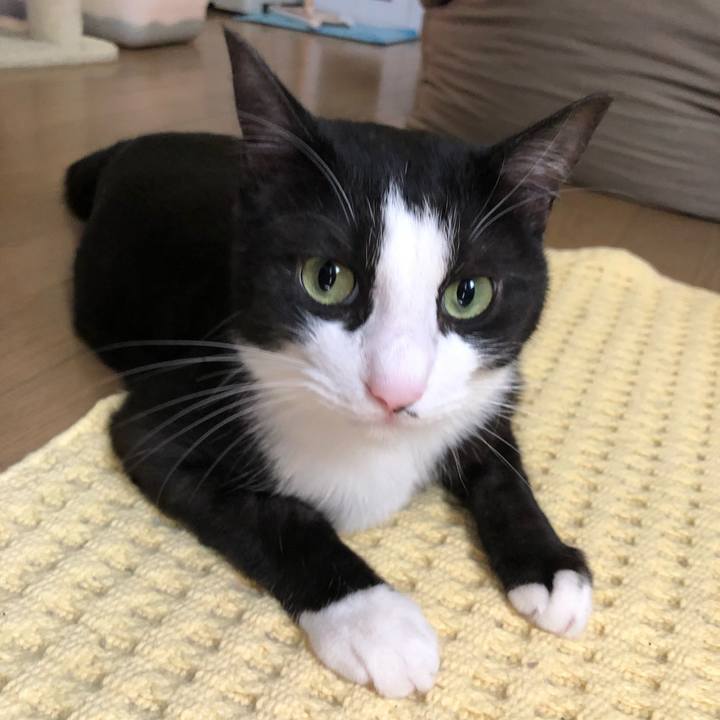 3ca0bcd7 e132 40bd b54d 22b05d078dd5 1560816690327