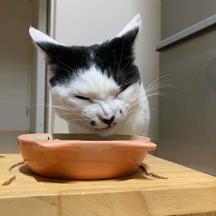 3ca11133 0b88 442a 95fb db046e259b72 1760993759948