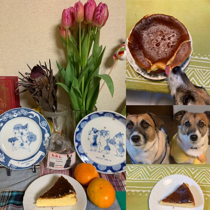 3ca11bbc d3e7 499a aa20 2873a395e2ea 1576501563723