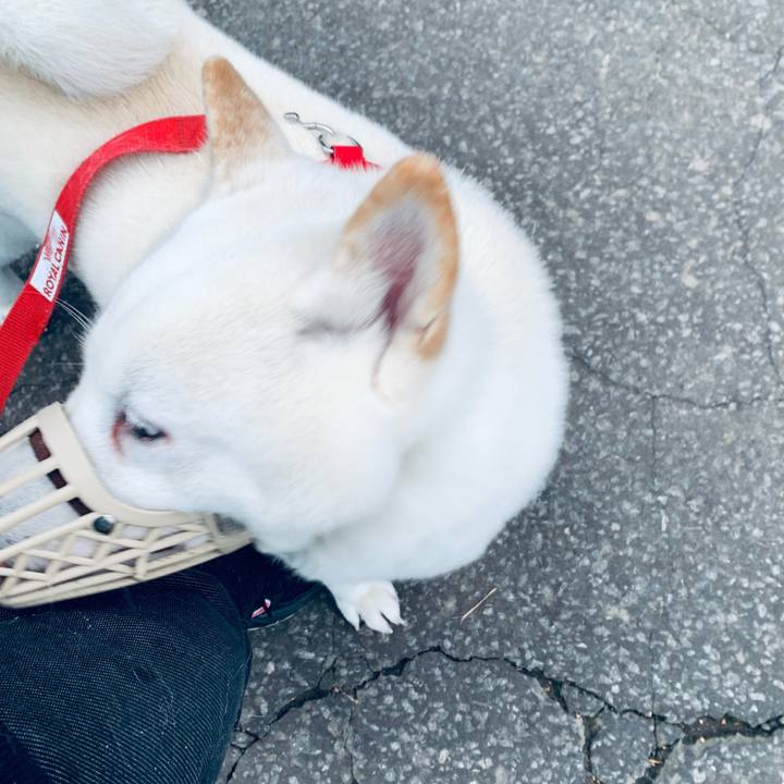 3ca12d5e e9f7 499a 9c28 72bf16bf8878 1606458707811