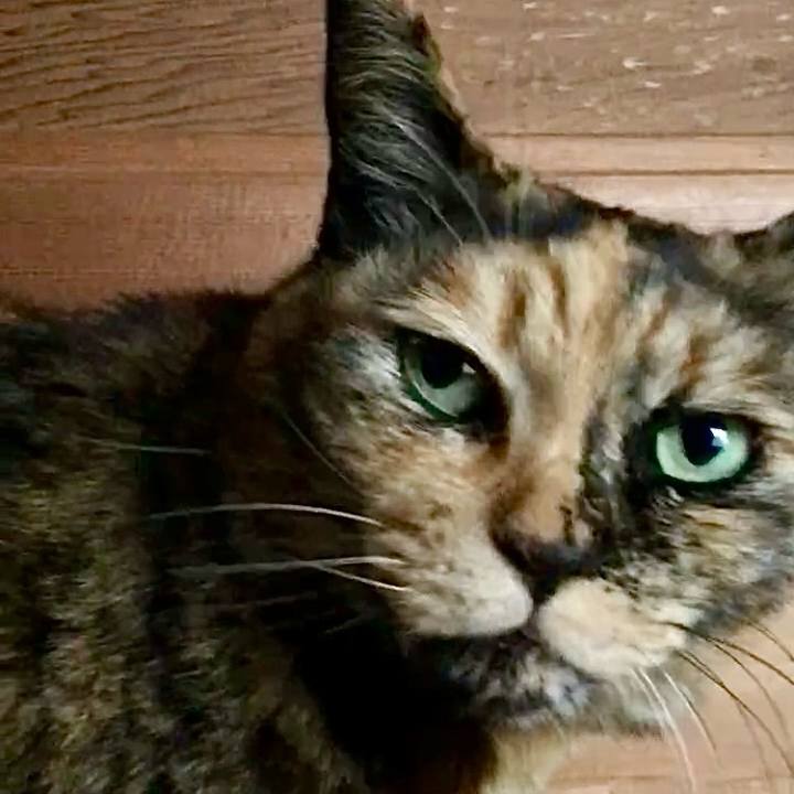 3ca15c49 dae6 4a11 b2a5 b7535afebb1d 1741570762931