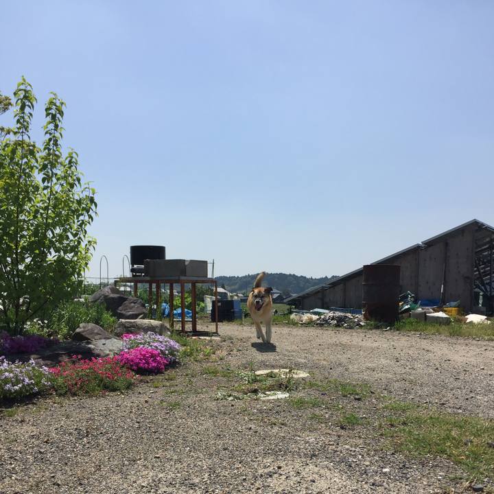 3ca171e2 26d2 4cdb 9117 44d3d1724cb5 1524885790515