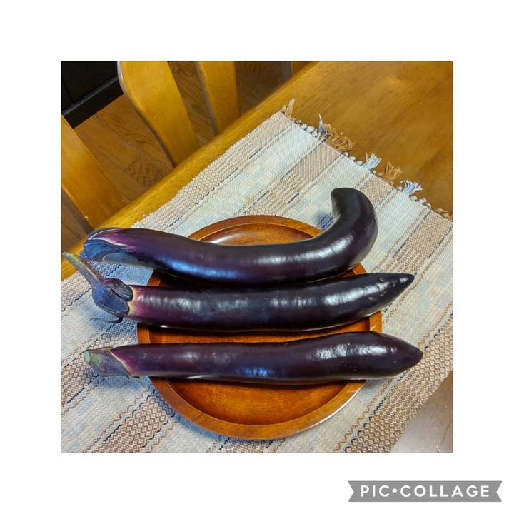 3ca17928 75d1 4ff8 b5d2 e42ee0400348 1695425501104