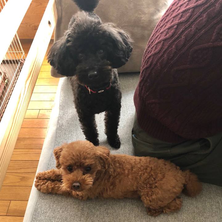 3ca17bba 4ff1 4a66 b9de 1ece2eab58d1 1581387605991