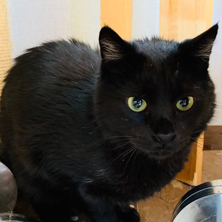 3ca1b051 9928 4b35 a5d4 469d99efcccf 1589422369312