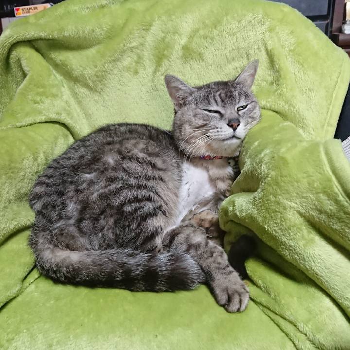 3ca1c94c b97b 4e50 8c2f 1c99629d66cc 1587679489058