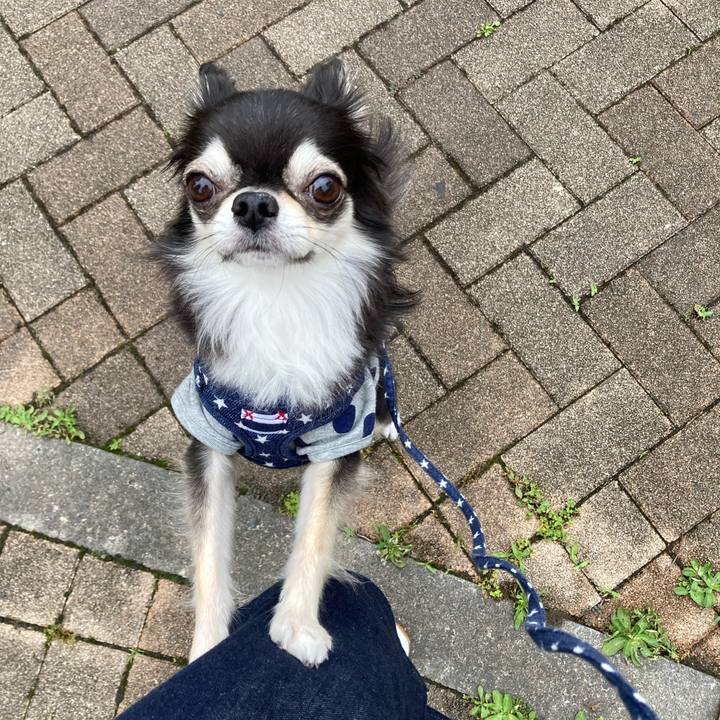 3ca2080f 9d07 41ba 8afa d14654c63bbd 1653225555112