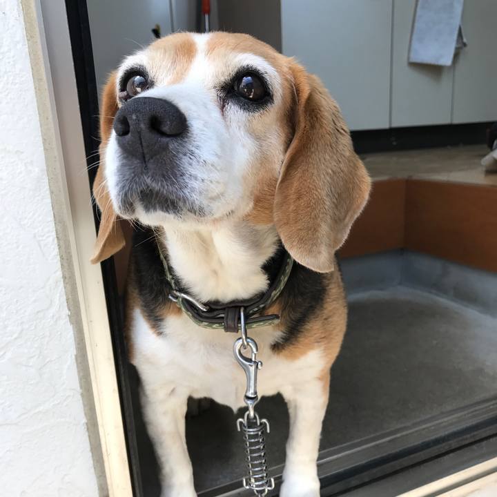 3ca2100e 09c0 4796 bbef 703233048a52 1532779500124