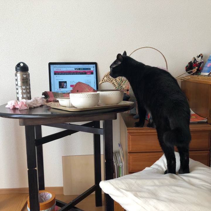 3ca22170 01c5 4a49 8e5d 428abd9b21f2 1550378155647