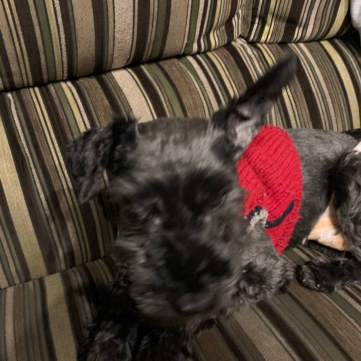 3ca23616 e696 4190 9cb6 e1dc189d8ac3 1646228480535