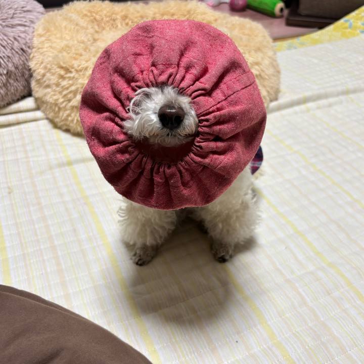 3ca2485c 960d 4346 a815 ad71788a6945 1773735699999