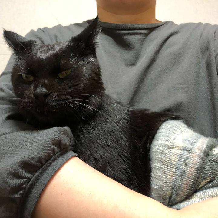 3ca25e8d ed62 4dc5 bf73 0ee2937d3c98 1605349072211