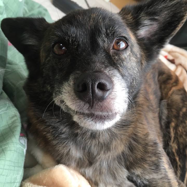 3ca26221 b036 426d b7b0 179f54fc9b8e 1543032368438