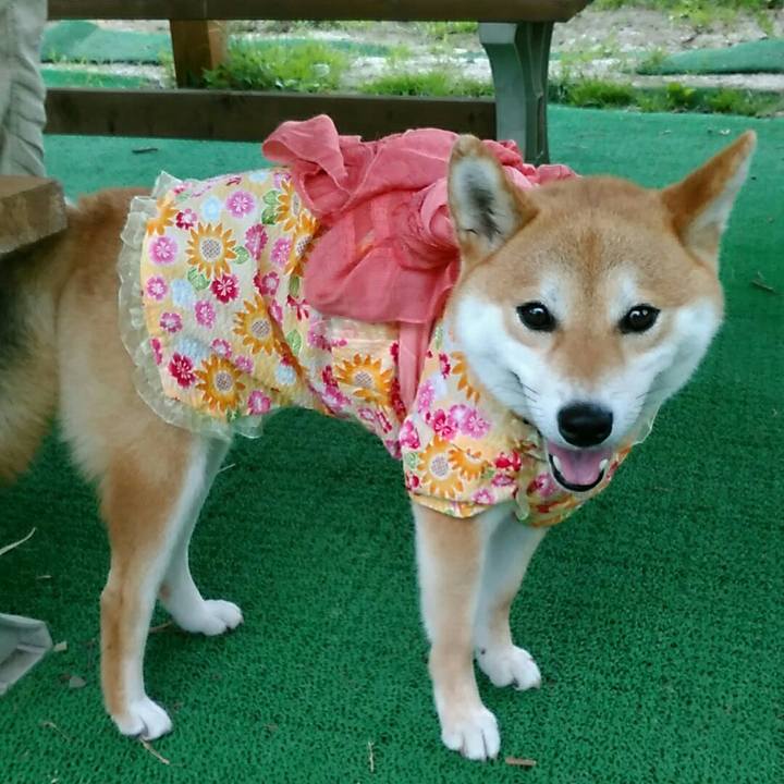 3ca2a24c 2ad7 4432 afc3 c443be235aee 1562417433256