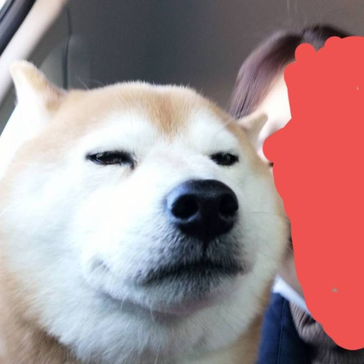 3ca2bc60 6bf1 48f4 be91 2310a0f7d1ae 1585121713234