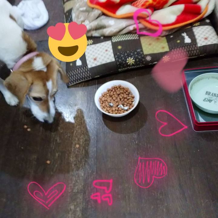 3ca2c1cf 845a 43b1 aa6a 3655d1f365a9 1583830765945