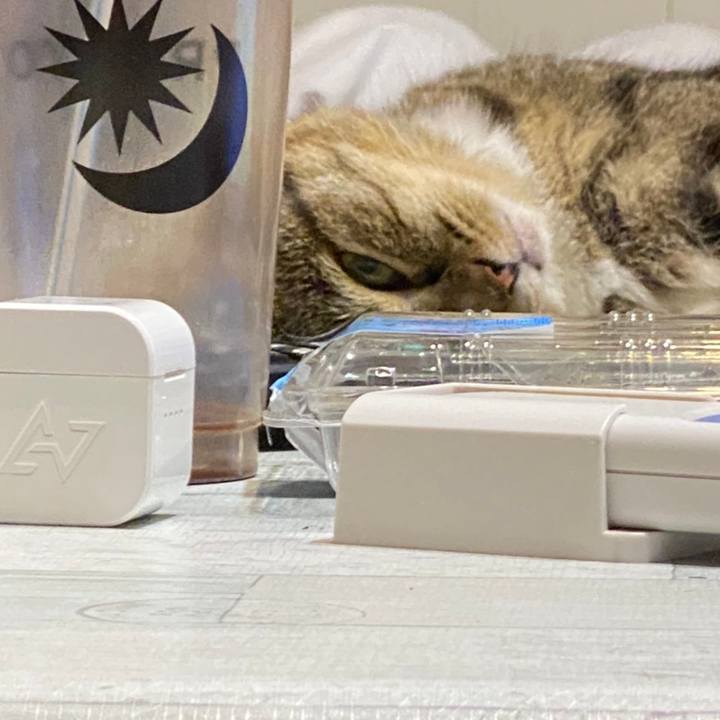 3ca2c811 5f66 40d9 9198 c3c3861f5d5d 1627923030590